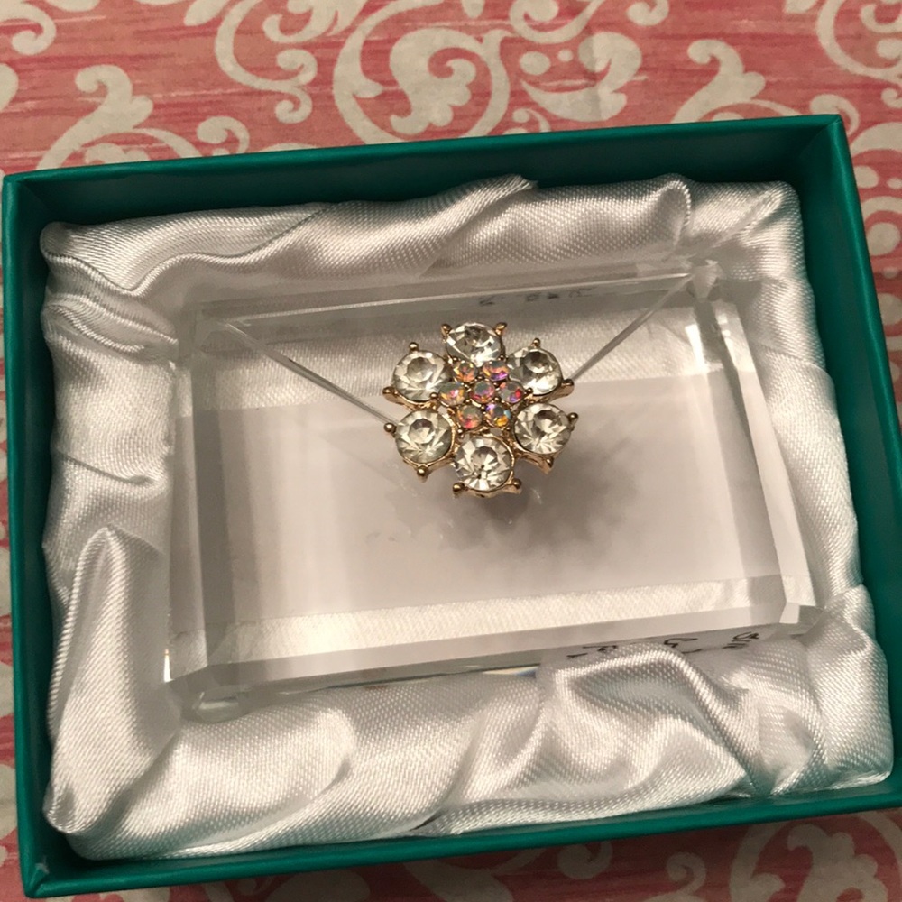 Simon Designs Crystal Purse Paper Weight